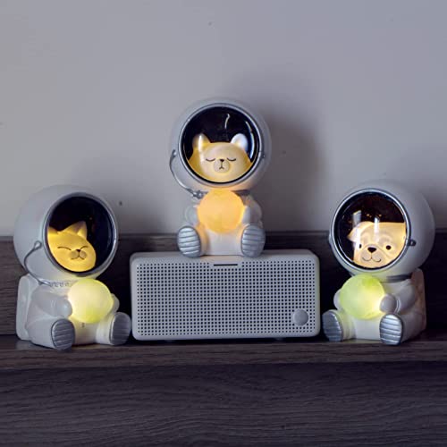 Spaceman - Luz nocturna LED de astronauta en 3D, cielo estrellado, astronauta de tierra, astronauta, astronauta de mascotas, luz nocturna kawaii para niños, perro espacial