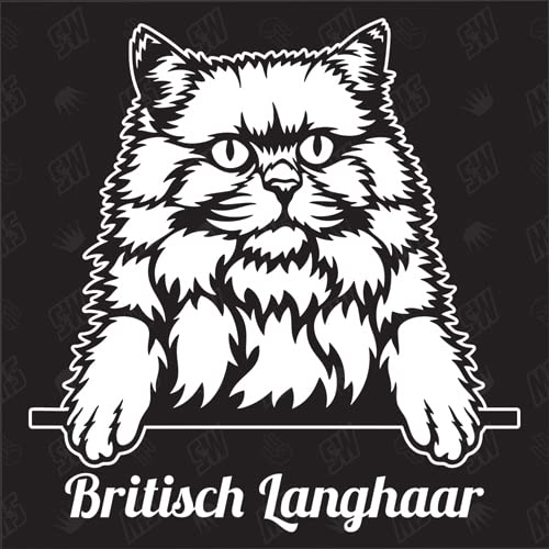 speedwerk-motorwear Gato Británico de Pelo Largo - Pegatina, Gato, Gatito, Coche, Animales, Mascota (TAMBIÉN ES Posible con EL Nombre Deseado)