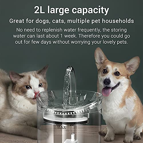 Speedy Panther Filtro de fuente de agua para gatos de 2 l para gatos Alimentador Dispensador de agua para mascotas Fuente de consumición automática para gatos (kit de sensor)
