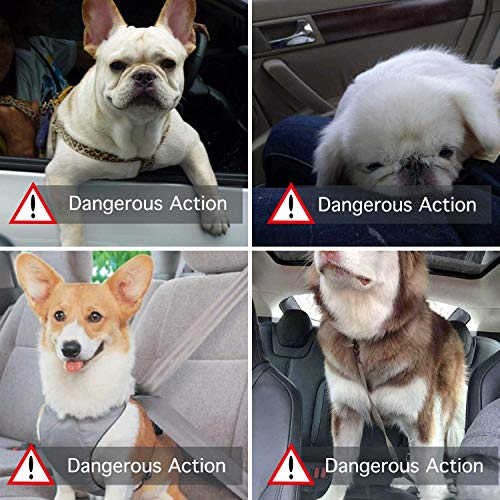 STARPIA Protector de Asiento de Coche para Mascotas Perros Gatos, Cinturón de Seguridad/Bolsa de Almacenamiento, Capazo de Coche Plegable Impermeable Lavable para Perros Viaje (Marrón Clásico)