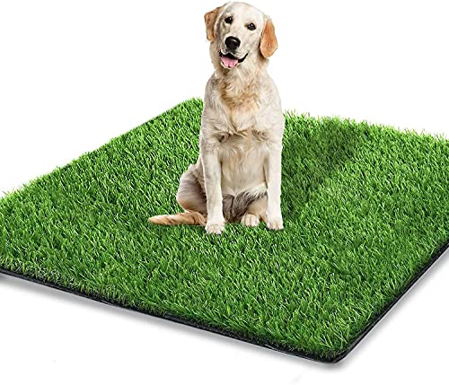 STARROAD-TIM - Alfombra de césped artificial para perros para interiores y exteriores, para ir al baño, zona de entrenamiento, patio y césped (129,8 x 80,8 cm)