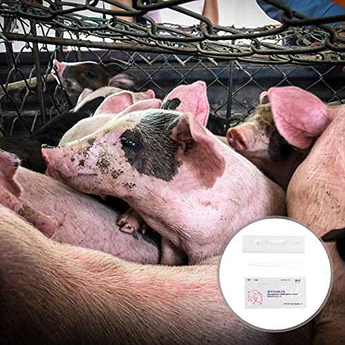 STOBOK 2 Piezas de Papel de Prueba de Embarazo Mascota Granja Animal Ganado Embarazada Tiras de Prueba Herramientas de Detección Suministros para Cerdito