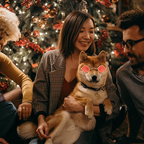 STOBOK Gafas para Mascotas Disfraz de Perro Divertido 2 Piezas Gafas de para Gatos Ropa de Ojo para Cachorros Gafas Cosplay para Perros Accesorios para Fotos de Mascotas para Gatos