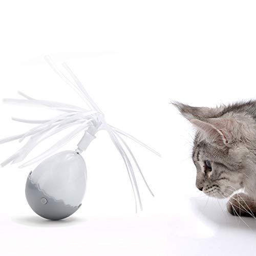 Strimm Pet Juguete divertido para gatos de juguete para mascotas