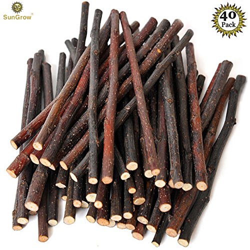 SunGrow Palitos para Masticar Manzana Y Canela, Juguete para Molares Mascotas Pequeñas, 1 Paquete