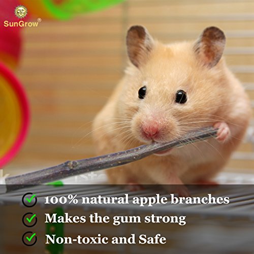 SunGrow Palitos para Masticar Manzana Y Canela, Juguete para Molares Mascotas Pequeñas, 1 Paquete