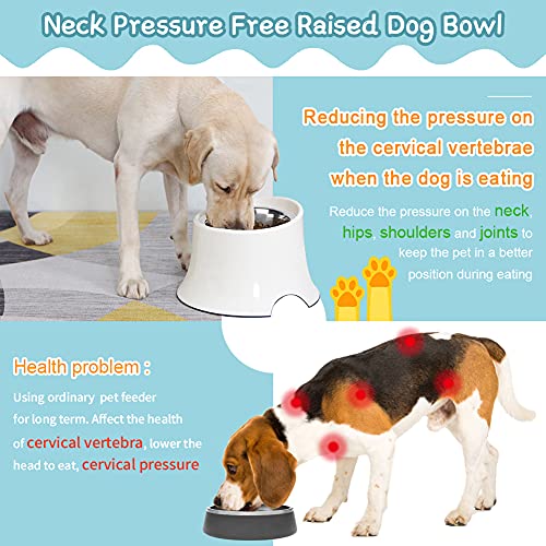 Super Design Comedero Elevado para Perros Grandes con Cuenco INOX extraíble y Soporte de melamina, Cuenco Elevado para Perros alimentador Elevado para Comer Relajado