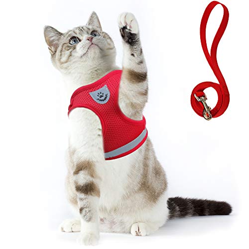 Supet Arnés y Correa para Gato Chaleco Reflectante de Nylon Suave para Perros Pequeños para Correr, Correr, Correas de Entrenamiento, Adecuado para Gatos, Cachorros, Mascotas Pequeñas