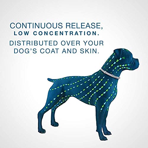 SxLingerie Collares Antipulgas para Perros 3 Protección Ingredientes Impermeables Ajustable Natural Pulgas Y Garrapatas Prevención para Perros Gatos,M