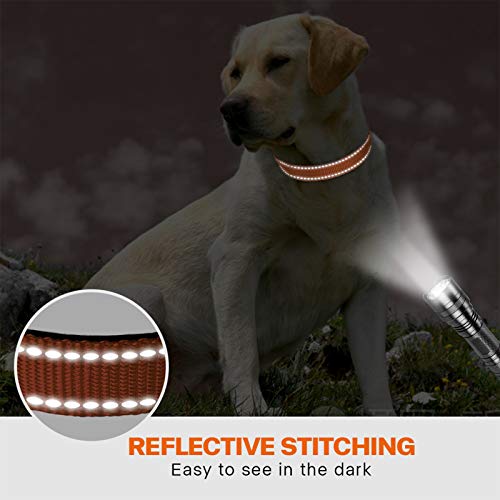 Taglory Collar Perro, Collar Nylon Reflectante Neopreno Forrado Ajustable para Perros Medianos, Naranja