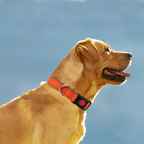 Taglory Collar Perro, Collar Nylon Reflectante Neopreno Forrado Ajustable para Perros Medianos, Naranja