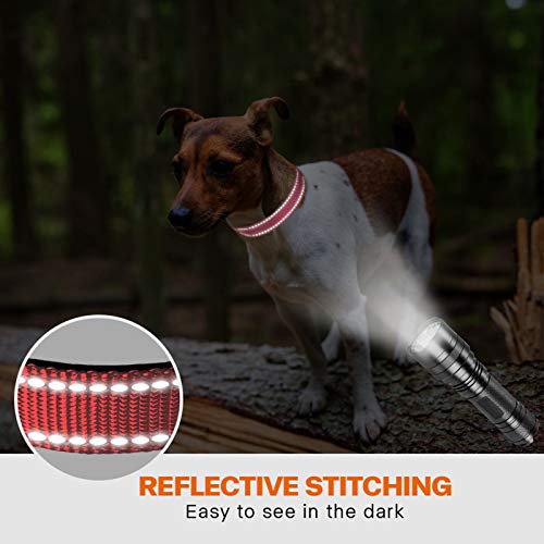 Taglory Collar Perro, Collar Nylon Reflectante Neopreno Forrado Ajustable para Perros Pequeños, Rosa