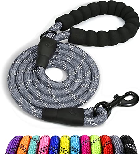 Taglory Correa de Perro, Correa de Fuerte de Perro para Perros Medianos y Grandes con Mango Acolchado Suave y Hilos Reflectantes, 1.2 m x 1.0 cm, Gris