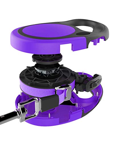 Taglory Correa Extensible Perro medianos y pequeño, Cuerda para Perros retractil, Nylon Fuerte Adecuado para Perros de hasta 20 kg, sin enredo y manija Antideslizante (5m (16ft), Morado)