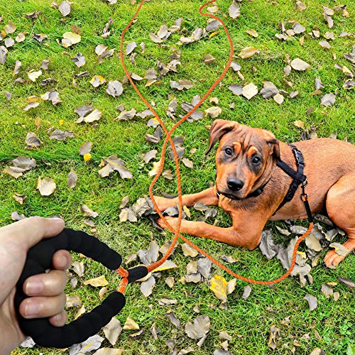 Taglory Correa Larga Perro, 10M Correa Adiestramiento Perro con Asa para Perros Pequeños Medianos y Grandes, Naranja