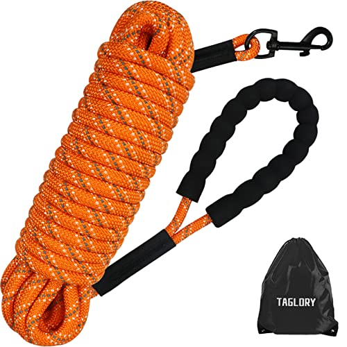 Taglory Correa Larga Perro, 10M Correa Adiestramiento Perro con Asa para Perros Pequeños Medianos y Grandes, Naranja