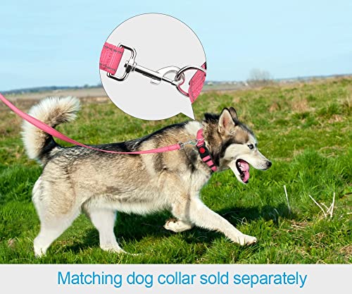 Taglory Correa Perro Reflectante, Mango Acolchado Suave y Gancho de Metal, Correas Adiestramiento para Perros Pequeño, 1.8m x 2.0cm, Rosa