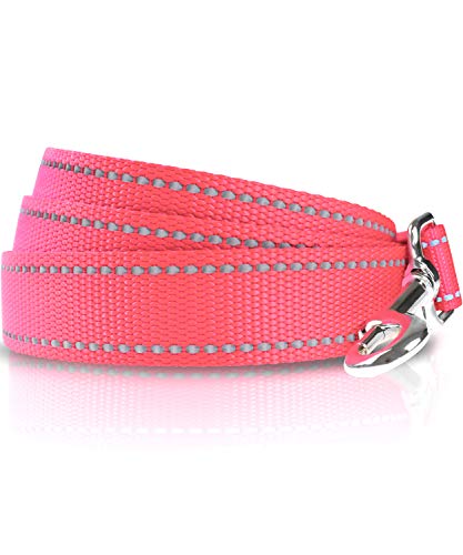 Taglory Correa Perro Reflectante, Mango Acolchado Suave y Gancho de Metal, Correas Adiestramiento para Perros Pequeño, 1.8m x 2.0cm, Rosa