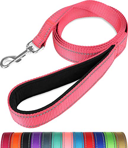 Taglory Correa Perro Reflectante, Mango Acolchado Suave y Gancho de Metal, Correas Adiestramiento para Perros Pequeño, 1.8m x 2.0cm, Rosa