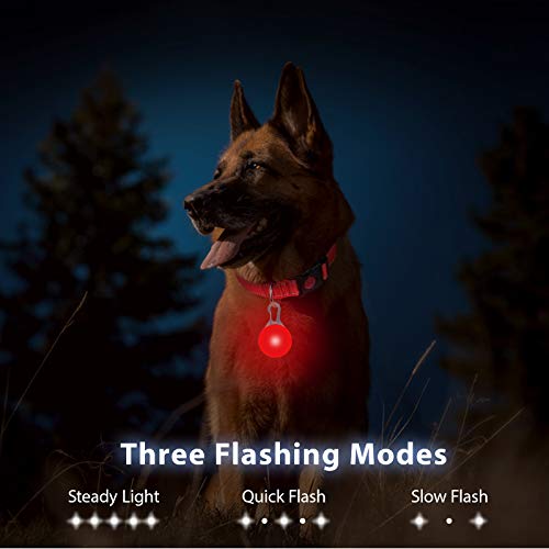 Taglory Luz LED Collares para Perro Clip-on, Luces de Seguridad Coloridas para Perros y Gatos, Collar Luminoso Perro Luz Impermeable, Colgante Perro Luz LED Noche(2 Baterías Adicionales), Rojo
