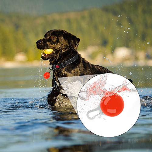Taglory Luz LED Collares para Perro Clip-on, Luces de Seguridad Coloridas para Perros y Gatos, Collar Luminoso Perro Luz Impermeable, Colgante Perro Luz LED Noche(2 Baterías Adicionales), Rojo