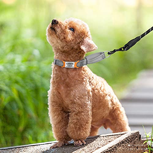 TagME 2 Paquete Etiquetas de Identificación de Acero Inoxidable Para Perros y Gatos / Placa de Identificación Silenciosa Grabada con Nombre y Número de Teléfono, Naranja, S