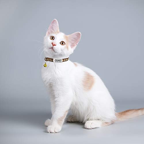 TagME Collar de Gato Personalizado, con Placa de Identificación Personalizable y Hebilla de Liberación Rápida, Collar de Gato Ajustable, Apto para Gatos y Cachorros, Dos Piezas, Marrón