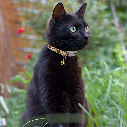 TagME Collar de Gato Personalizado, con Placa de Identificación Personalizable y Hebilla de Liberación Rápida, Collar de Gato Ajustable, Apto para Gatos y Cachorros, Dos Piezas, Marrón