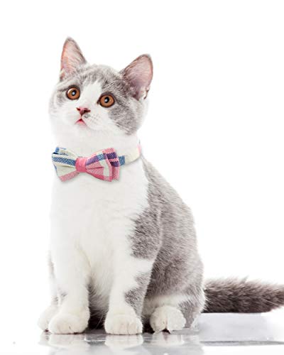 TagME Collar de Gato Personalizado, con Placa de Identificación Personalizable y Hebilla de Liberación Rápida Corbata de Moño Collar de Gato, 1 Paquete Rosado