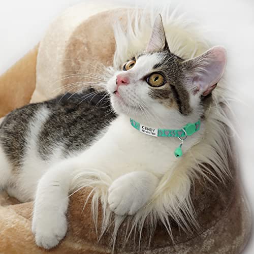 TagME Collar de Gato Personalizado de 2 Piezas, Collares de Gatito Reflectantes con Campanas y Hebilla Segura de liberación rápida, para Cachorro Gato, Turquesa