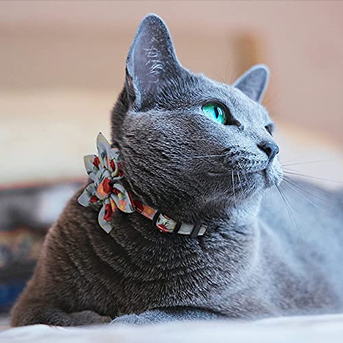 TagME Collar Gato Personalizado con Linda Flor, Ajustable Liberación Rápida Collar para Gato con Etiqueta de Identificación, 1 Pieza