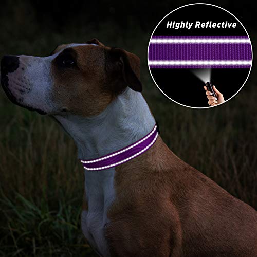 TagME Collar Perro Ajustable,Collar Nylon Reflectante,para Caminar Correr Entrenamiento,para Cachorro,Morado,1.0cm De Ancho