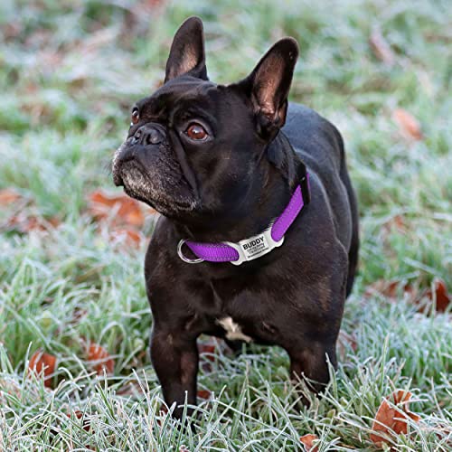 TagME Collar Perro Ajustable,Collar Nylon Reflectante,para Caminar Correr Entrenamiento,para Cachorro,Morado,1.0cm De Ancho