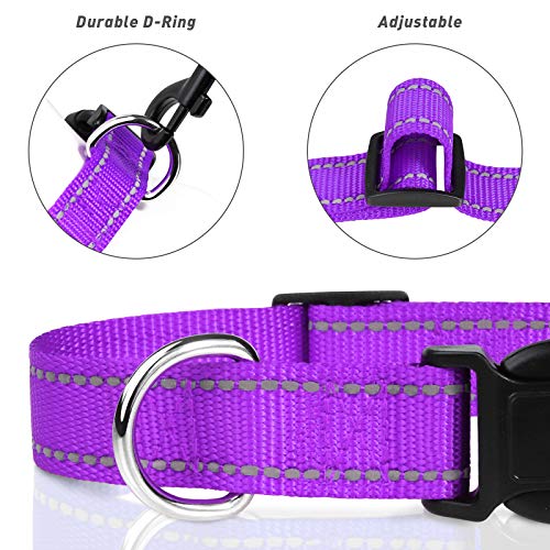 TagME Collar Perro Ajustable,Collar Nylon Reflectante,para Caminar Correr Entrenamiento,para Cachorro,Morado,1.0cm De Ancho