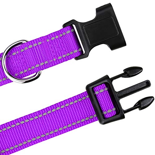 TagME Collar Perro Ajustable,Collar Nylon Reflectante,para Caminar Correr Entrenamiento,para Cachorro,Morado,1.0cm De Ancho