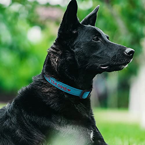 TagME Personalizado Mediano Collar Perro, Bordado Nombre y Número De Teléfono Reflectante Collar Perros, Azul Cielo M