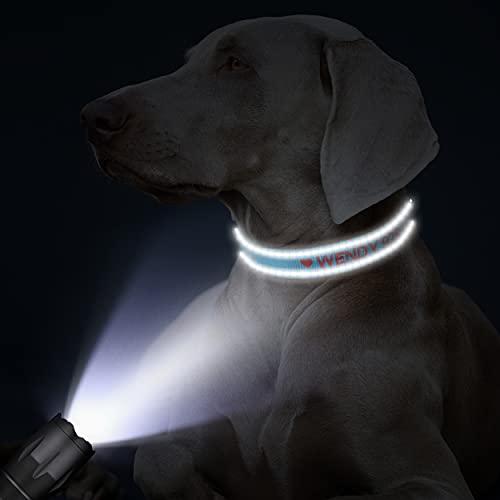 TagME Personalizado Mediano Collar Perro, Bordado Nombre y Número De Teléfono Reflectante Collar Perros, Azul Cielo M