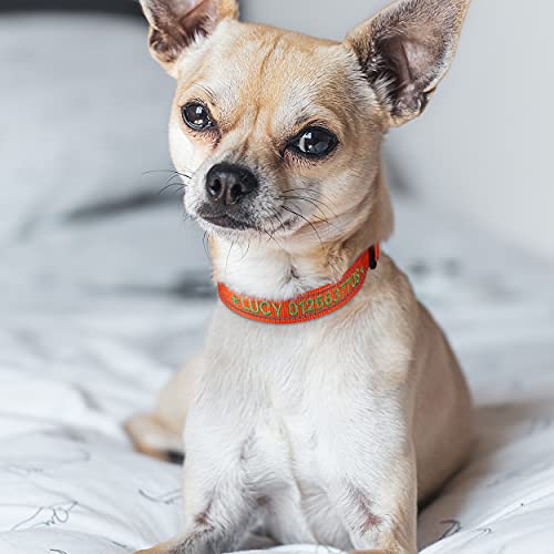 TagME Personalizado Pequeño Collar Perro, Bordado Nombre y Número De Teléfono Reflectante Collar Perros, Naranja XS