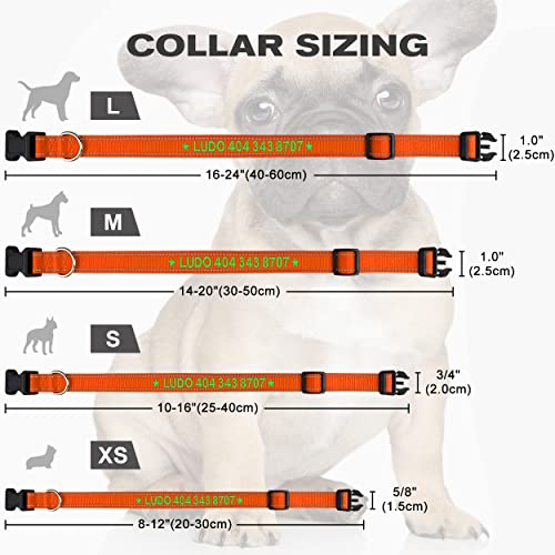 TagME Personalizado Pequeño Collar Perro, Bordado Nombre y Número De Teléfono Reflectante Collar Perros, Naranja XS