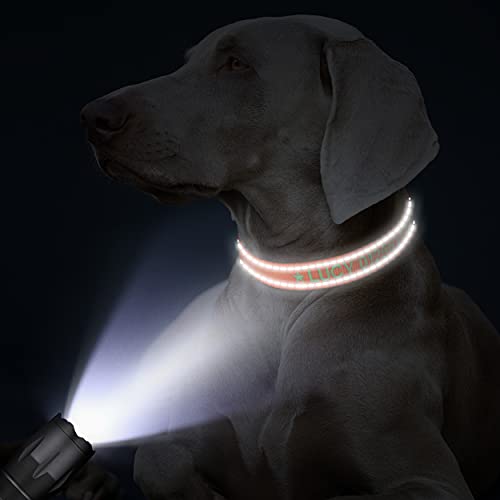 TagME Personalizado Pequeño Collar Perro, Bordado Nombre y Número De Teléfono Reflectante Collar Perros, Naranja XS