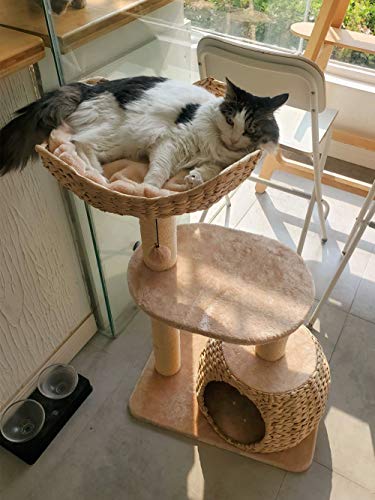 TAO Árboles Para Gatos 35 del árbol del gato de la pulgada de muebles condominio con sisal arañar puestos, tejido a mano Centro de Actividades for mascotas cesta Gato con pelota de juguete