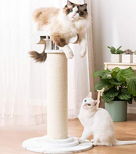 TAO Árboles Para Gatos Nivel 2 gatito del árbol del gato con Rascador sisal, madera gato Rascador Muebles con más Rascar Pads, diseño Columna romana
