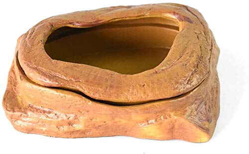 Técnica de acuarios Accesorio del reptil Alimentación agua de la taza del animal doméstico fuentes de alimentación del gusano del plato Mini avanzada resina hecha Anti-Gusano escape conveniente para e