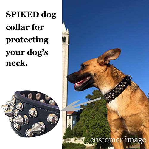 TEEMERRYCA Collar de Cuero con Pinchos para Perros pequeños, medianos y Grandes (Black-S)