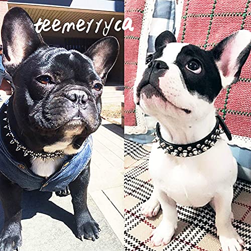TEEMERRYCA Collar de Cuero con Pinchos para Perros pequeños, medianos y Grandes (Black-S)