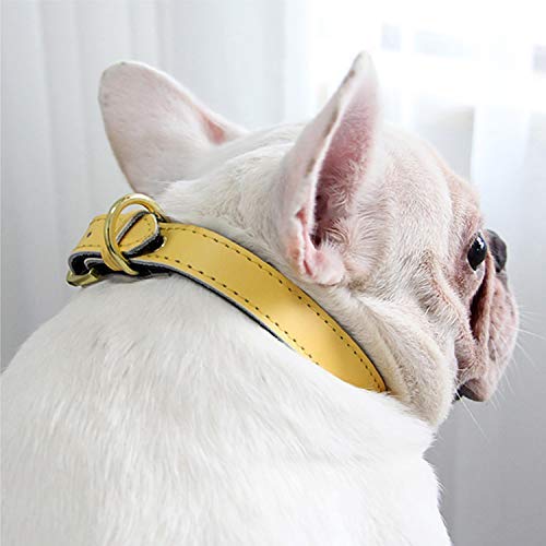 teemerryca Collares de gato con campana de cuero suave para perros pequeños medianos grandes (cuello: 36 cm - 46 cm), color azul