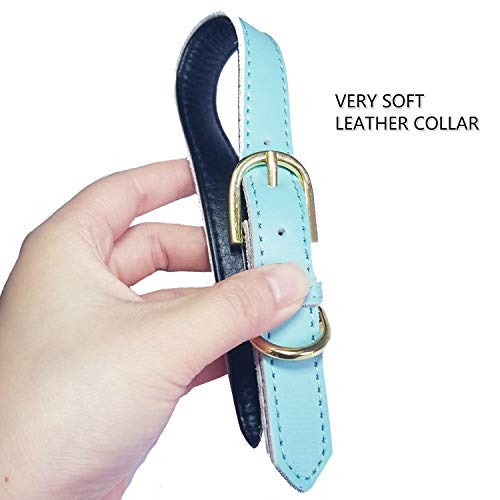 teemerryca Collares de gato con campana de cuero suave para perros pequeños medianos grandes (cuello: 36 cm - 46 cm), color azul