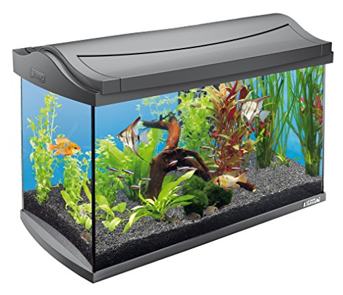 Tetra AquaArt Discovery Line Acuario 60 litros (Juego completo que incluye iluminación LED), Antracita