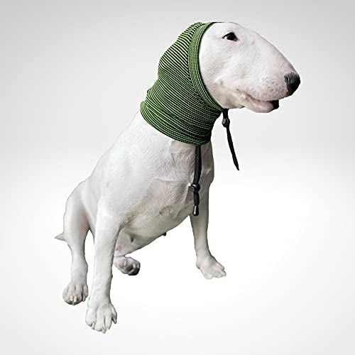 textilCu - Capucha Protectora para Perros | Otitis | Otohematomas | Cirugías | Alergias (Verde, Large)