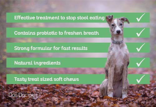 The Dog Doctors Coprophagia Soft Chews – Perfecto regalo diario que ayuda a romper el hábito de comer de las heces de tu perro (60 masticables)